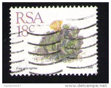 Afrique Du Sud 1989 Oblitéré Used Stamp Fleur Flower Faucaria Tigrina - Gebraucht