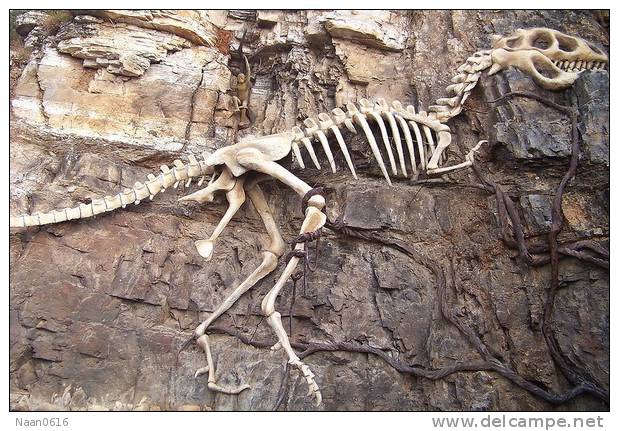 Dinosaur Fossils   ,   Postal Stationery -Articles Postaux -Postsache F (A74-37) - Fossili
