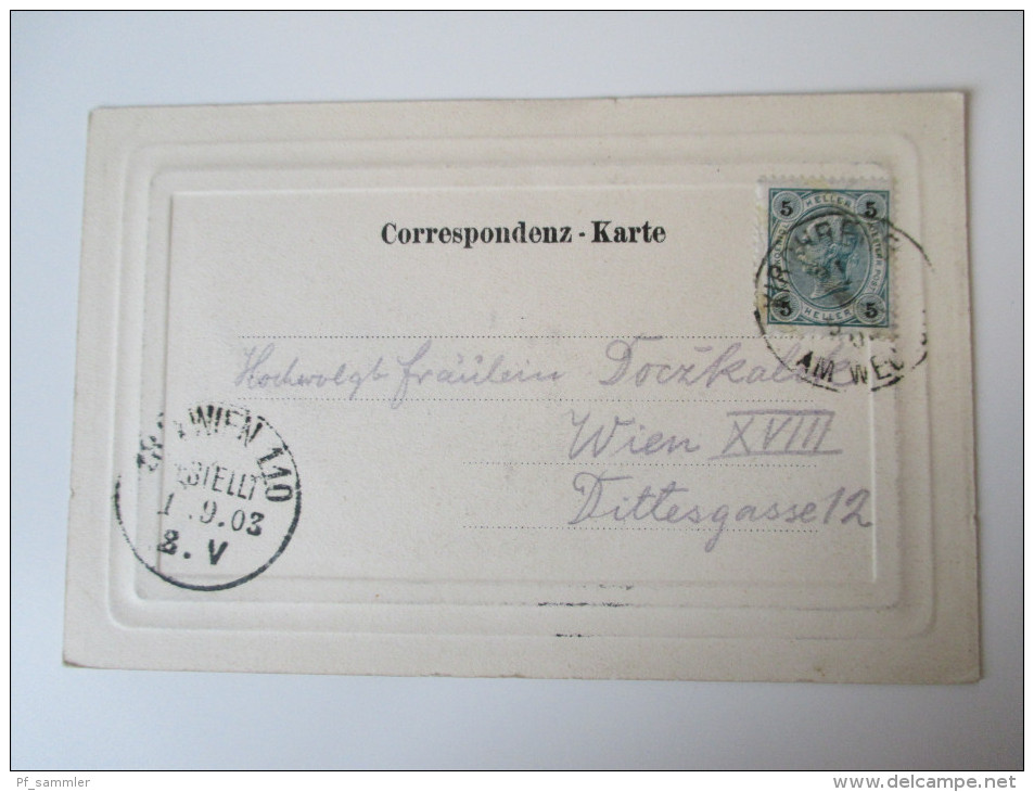 AK / Reliefkarte 1903 Gruss Aus Kirchberg Am Wechsel Ein Tolles Stück!! - Wechsel