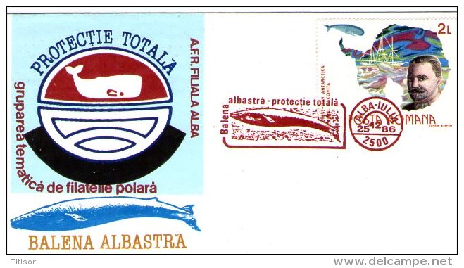 Whale. Alba Iulia (red Ink) 1986. - Antarctic Wildlife