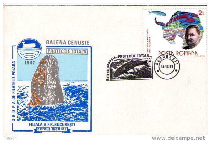 Whale. Bucuresti 1987. - Fauna Antártica