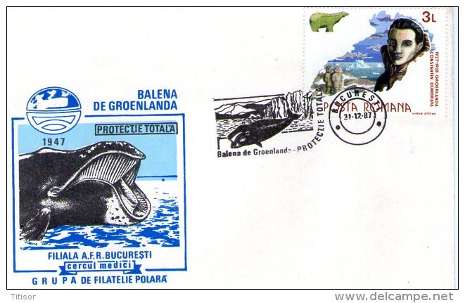 Whale. Bucuresti 1987. - Antarctic Wildlife