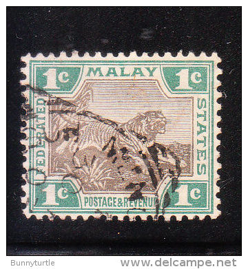 Federated Malay States 1901 Tiger 1v Used - Federated Malay States