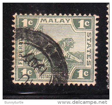 Federated Malay States 1906-22 Tiger 1v Used - Federated Malay States