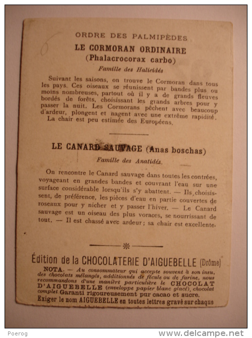 CHROMO - CORMORAN - CANARD SAUVAGE - CARTE CHOCOLOAT D'AIGUEBELLE - LE MONDE DES OISEAUX - 7X10 - ORDRE DES PALMIPEDES - Aiguebelle