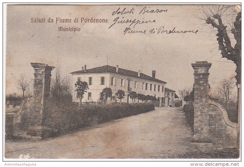 Pordenone Fiume Municipio Viaggiata 1910 - Pordenone