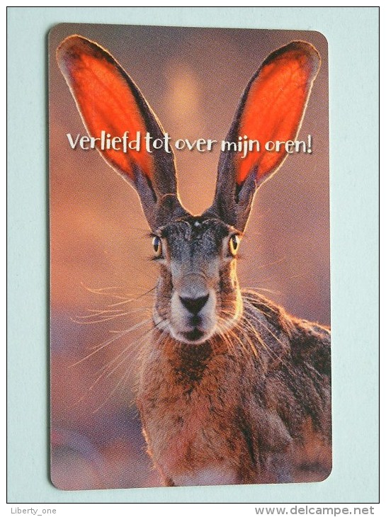 Hallmark ( 01 ) Gift / Wens Card / Verliefd Tot Over Mijn Oren ( Formaat En Materiaal Idem Als Bankkaart ) !! - Gift Cards