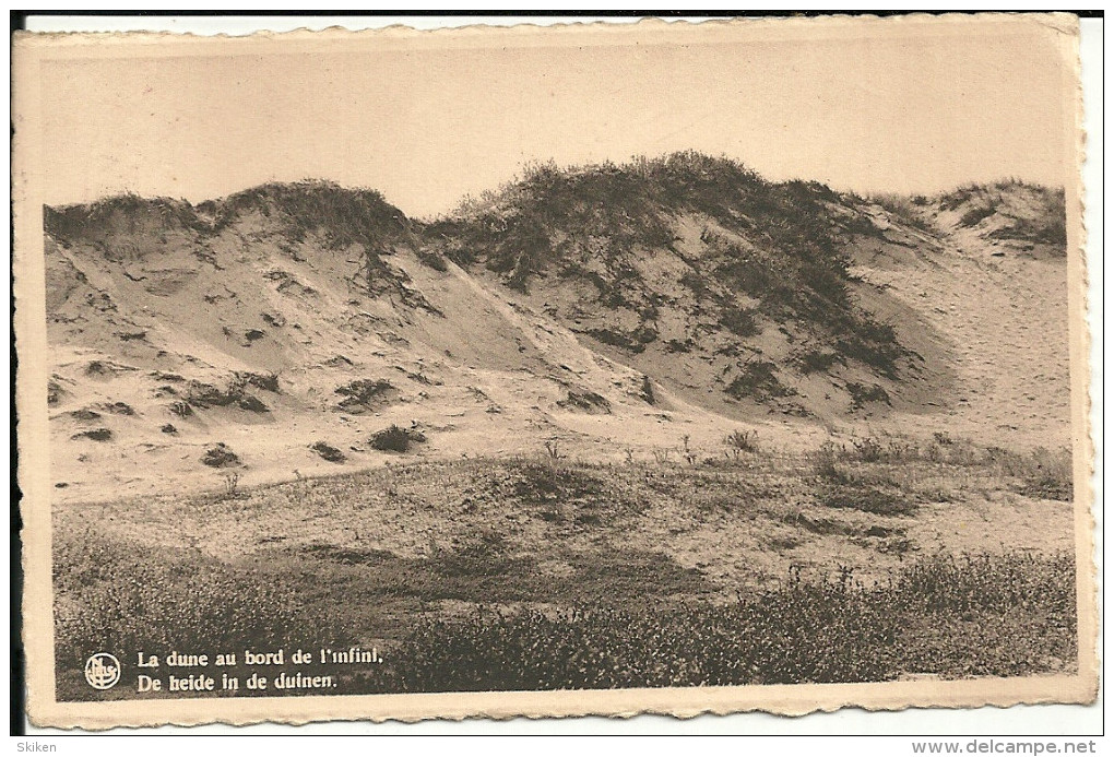 Nieuport Bains   La Dune Au Bord De L Infini - Nieuwpoort