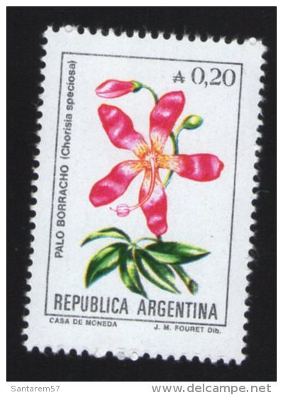 Argentine Flore Fleur Flower Palo Borracho Chorisia Speciosa - Sonstige & Ohne Zuordnung