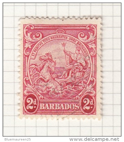 BADGE OF THE COLONY - 1938 - Barbades (...-1966)