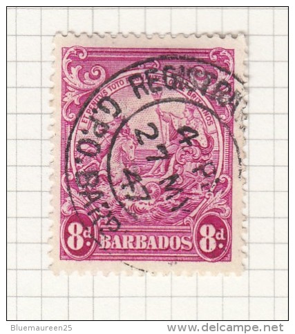 BADGE OF THE COLONY - 1938 - Barbades (...-1966)