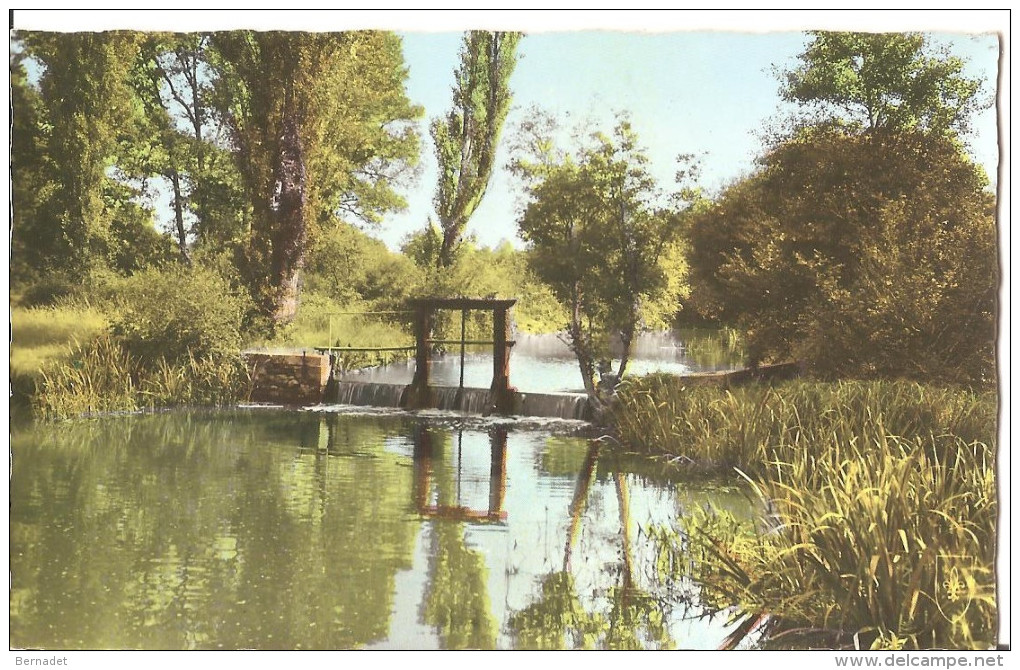 LA FERTE SAINT AUBIN ... LE COSSON A CHARTRAINE - La Ferte Saint Aubin