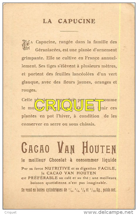 Grande Chromo Van Houten, La Capucine,  Scan Recto Verso, Pas Très Courante - Van Houten