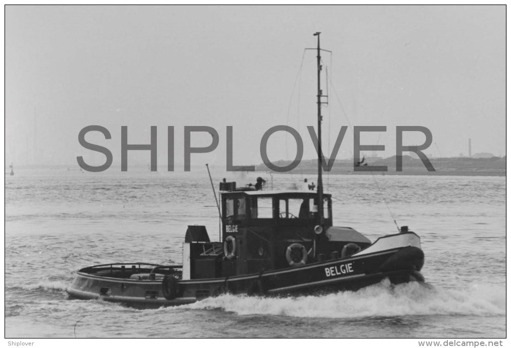 Remorqueur BELGIE - Photo Ancienne Originale / Vintage Photo - Bateau/ship/schiff - Bateaux