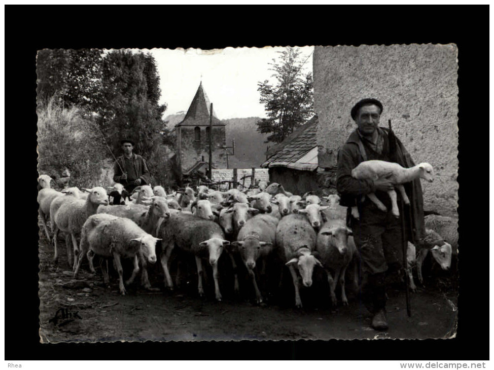 65 - GOUAUX-DE-LARBOUST - Les Agudes - Moutons - Autres & Non Classés