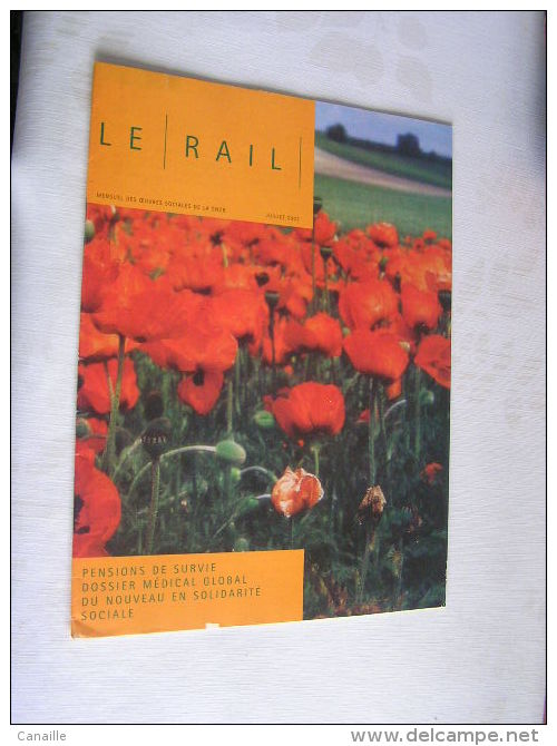 Le Rail  ( 32 Pages ) , Mensuel Des Ouevres Sociales De La SNCB  -  Julliet   2002 .- - Trains