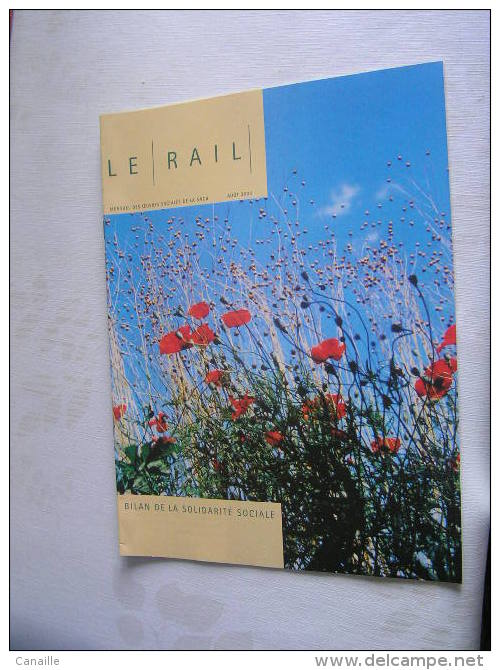 Le Rail  ( 32 Pages ) , Mensuel Des Ouevres Sociales De La SNCB  -  Aout   2003  .- - Trains