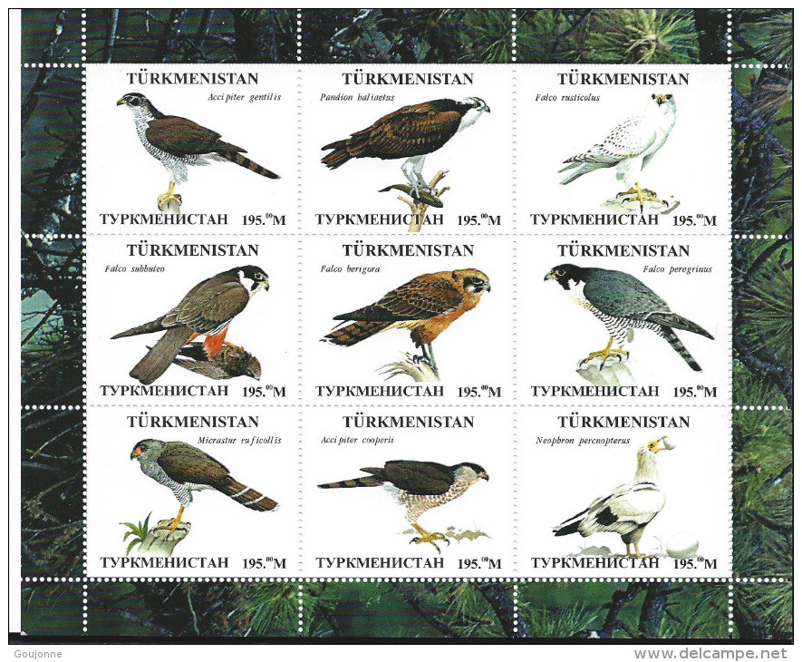 TURKMENISTAN      Oiseaux - Other & Unclassified