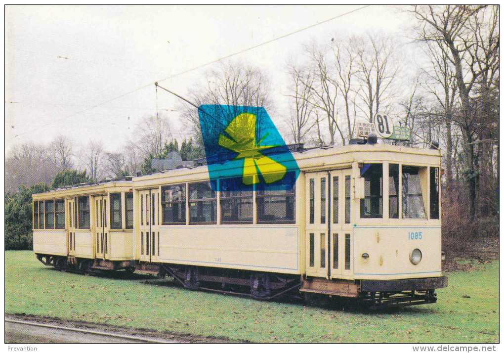 BRUXELLES - TRAMWAYS "Ligne 81" - Photo-carte Couleur - Public Transport (surface)