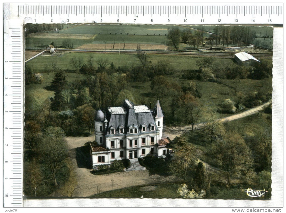 VIELMUR -  VUe Aérienne Du Château - Vielmur Sur Agout