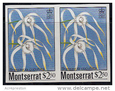 E0153 MONTSERRAT 1985, SG 635 $2,50 Orchids Of Montserrat, Imperf Pair  MNH - Montserrat