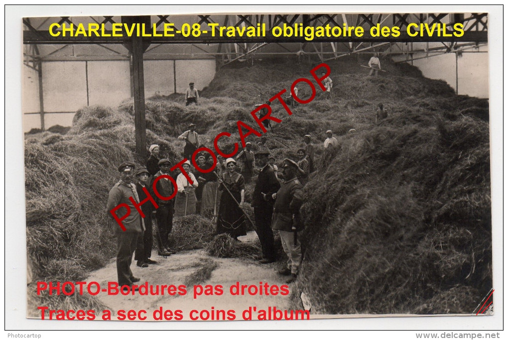 RECOLTE-Travail Obligatoire-Civils-Foin-Fourrage-CHARLEVILLE-!!-Photo Allemande-Guerre14-18-1WK-Militaria-France-08- - Charleville