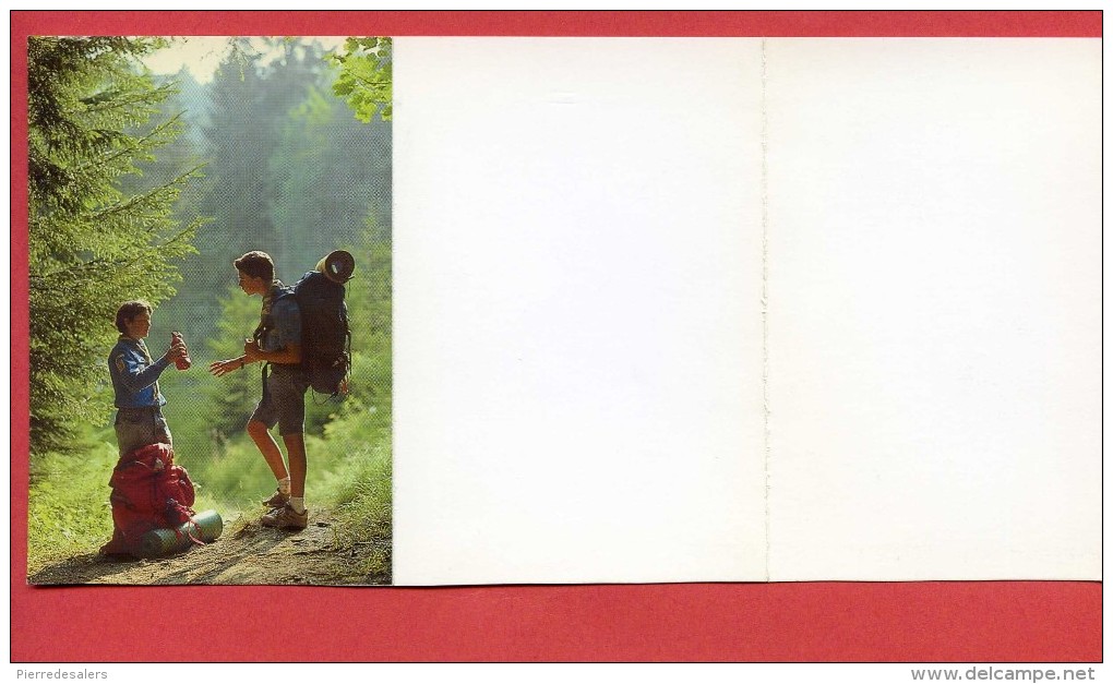 NC - Carte Pour Voeux - Scout De France En Forêt - Scoutisme - Scans Recto Verso - New Year