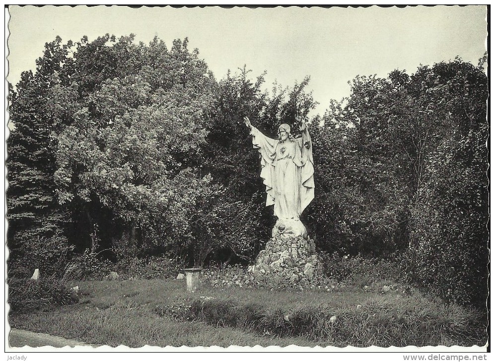 Héron -- Le  Monument  Du  Sacré - Coeur.   (2 Scans) - Heron