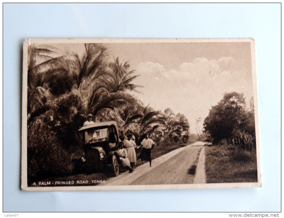 Carte Postale Ancienne : TONGA : A Palm , Fringer Road , Car, Persons , Stamp 1903 - Tonga