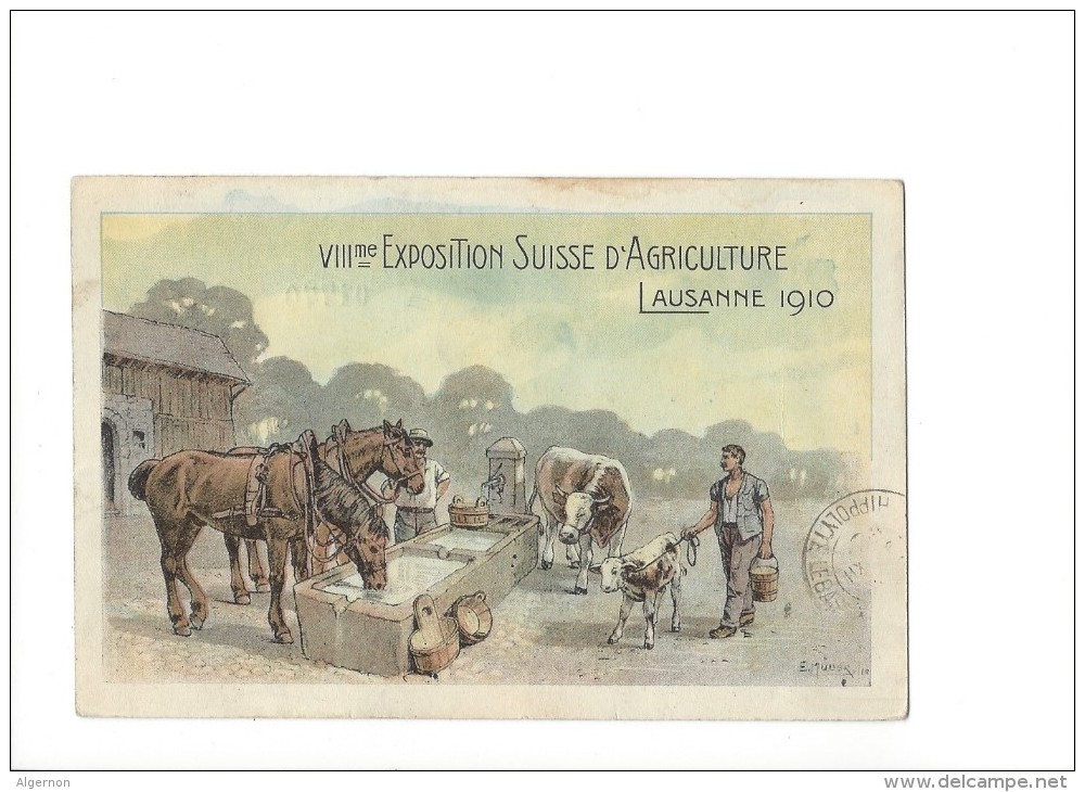9216 - VIIIme Exposition Suisse D'Agriculture Lausanne 1910 - Expositions