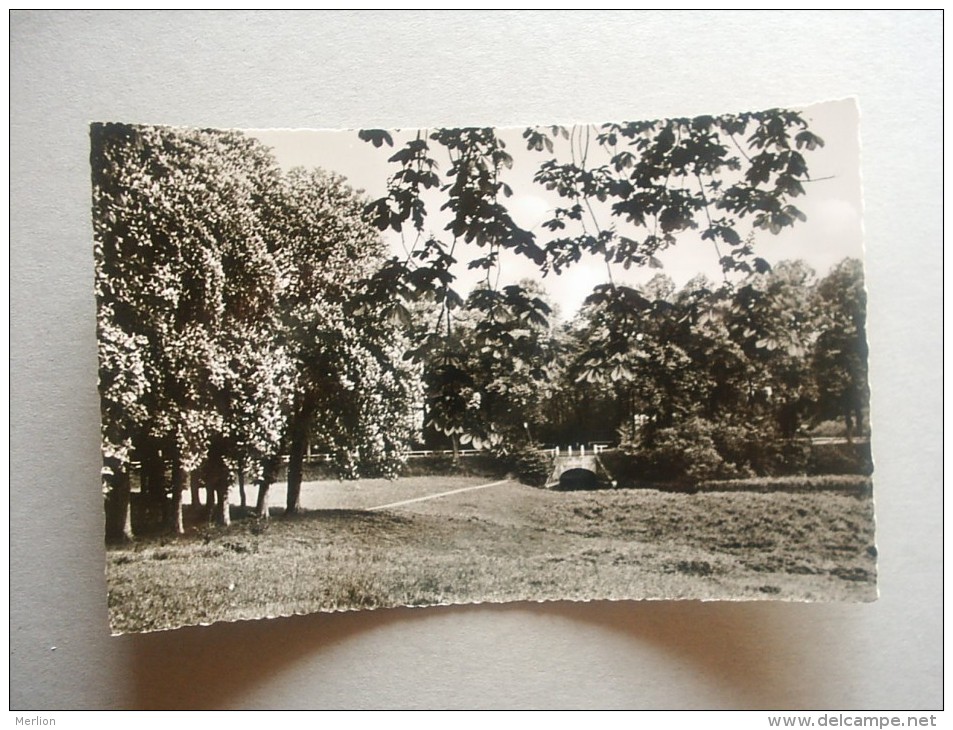 Deutschland - Ahrensburg  Kastanienallee Mit Bauernbrucke    D115702 - Ahrensburg