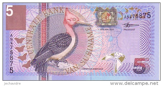 SURINAM   5 Gulden  Daté Du 01-01-2000    Pick 146     ***** BILLET  NEUF ***** - Suriname