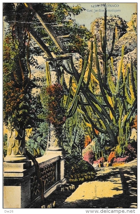Monaco - Les Jardins Exotiques - CPA La Cigogne - Jardín Exótico