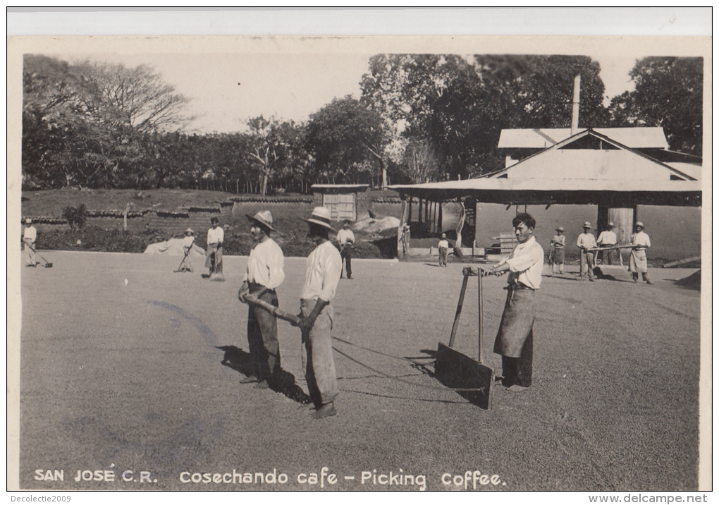 P3232 Costa Rica Cosechando Cafe San Jose Picking Coffe Scan Front/back Image - Costa Rica