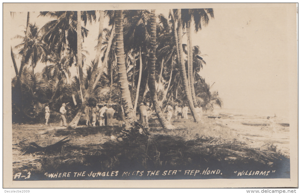 P3269 Honduras Where The Jungle Meets The Sea W Scan Front/back Image - Honduras