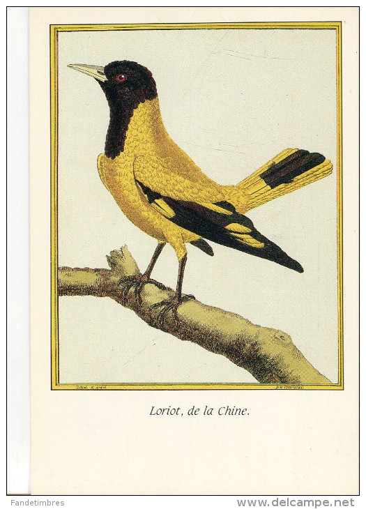 1 LOT DE 9 CARTES MODERNES "L´HISTOIRE NATURELLE DES OISEAUX" D'après MARTINET - 5 - 99 Karten