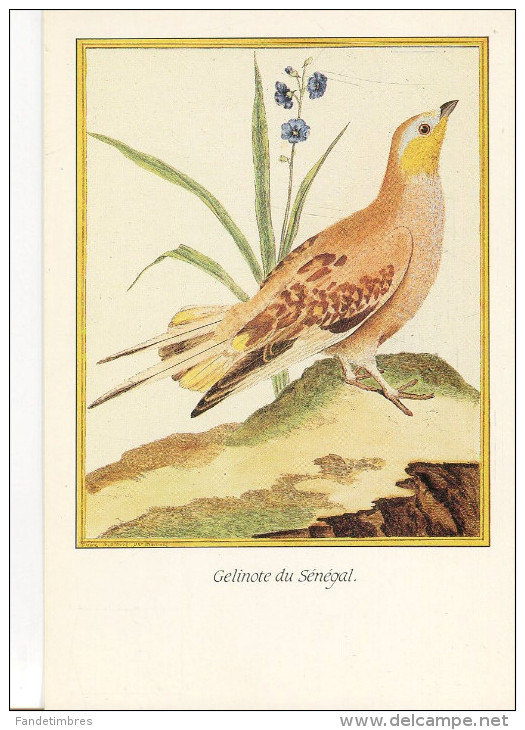 1 LOT DE 9 CARTES MODERNES "L´HISTOIRE NATURELLE DES OISEAUX" D'après MARTINET - 5 - 99 Karten