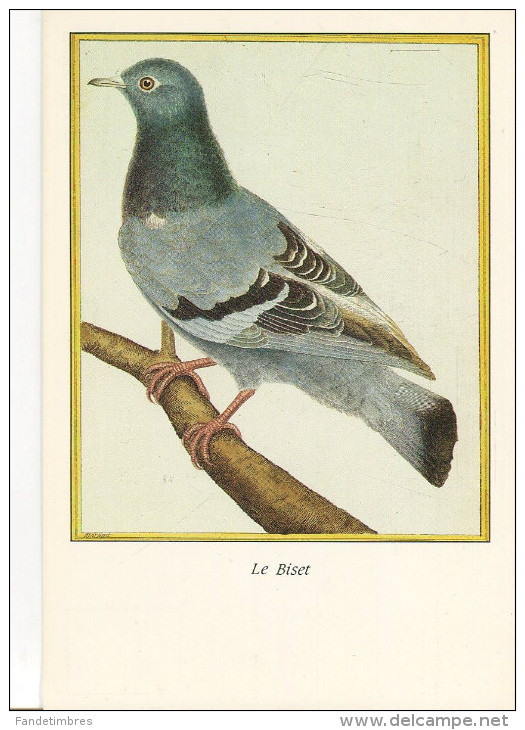 1 LOT DE 9 CARTES MODERNES "L´HISTOIRE NATURELLE DES OISEAUX" d'après MARTINET