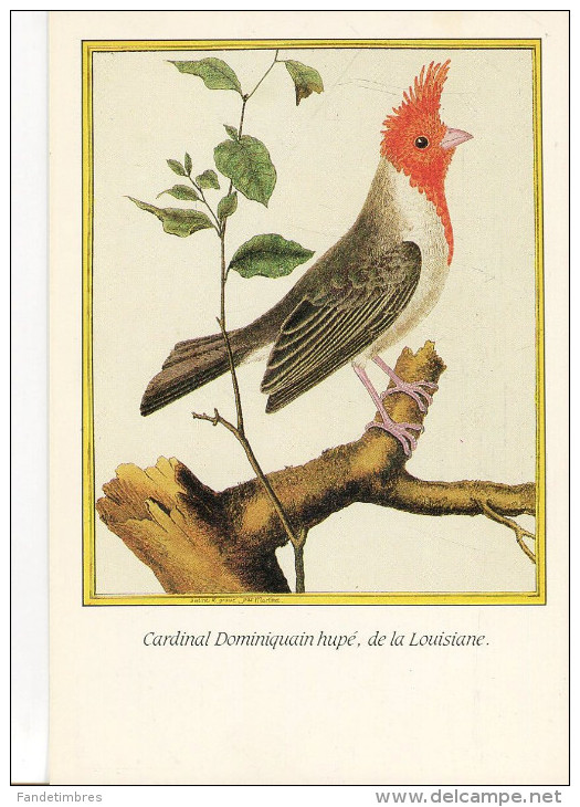 1 LOT DE 9 CARTES MODERNES "L´HISTOIRE NATURELLE DES OISEAUX" d'après MARTINET