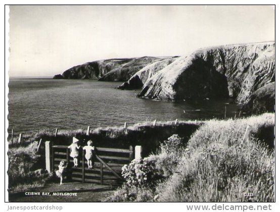 REAL PHOTO POSTCARD - Larger Modern Size - CEIBWR BAY - MOYLGROVE - CARDIGANSHIRE - WALES - Cardiganshire