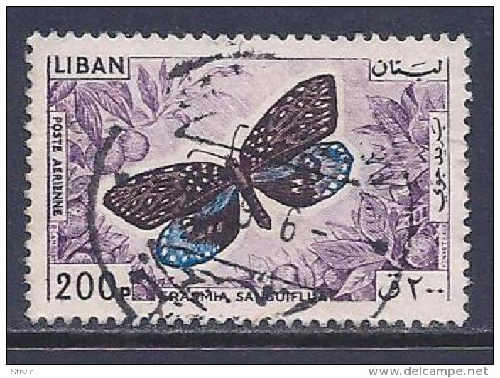 Lebanon, Scott # C434 Used Butterfly, 1965 - Lebanon