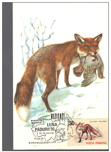 Maximum Card Romania, Animals, Fauna, Fox (Vulpes Vulpes) - Autres & Non Classés