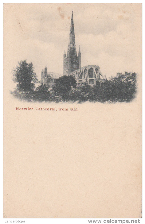 NORWICH CATHEDRAL FROM S.E. 1900 - Norwich