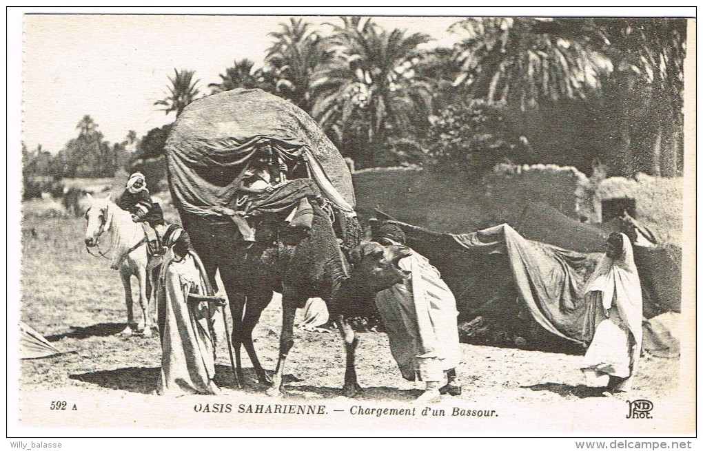 "Oasis Saharienne - Chargement D'un Bassour" - Westsahara