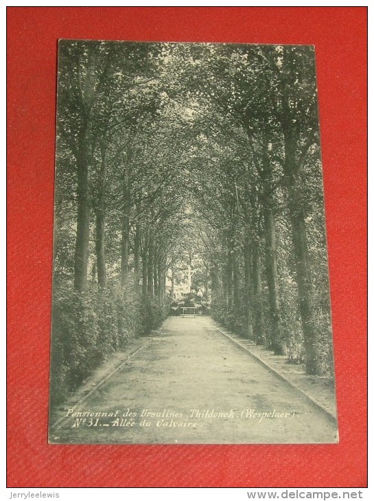 TILDONK - THILDONCK  - Pensionnat Des Ursulines  (Wespelaer) -  Allée Du Calvaire  -  1911 - Haacht