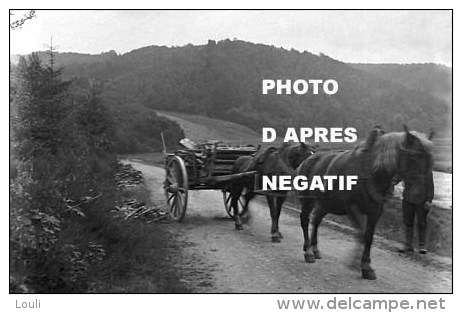 Dohan Attelage 2 Chevaux Photo Reproduite D´après Négatif - Bouillon