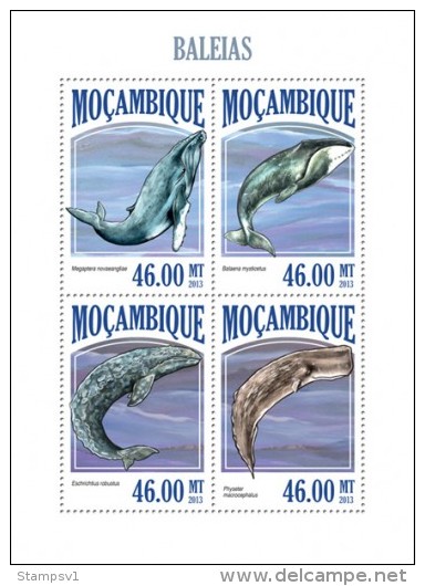 Mozambique. 2013 Whales. (426a) - Ballenas