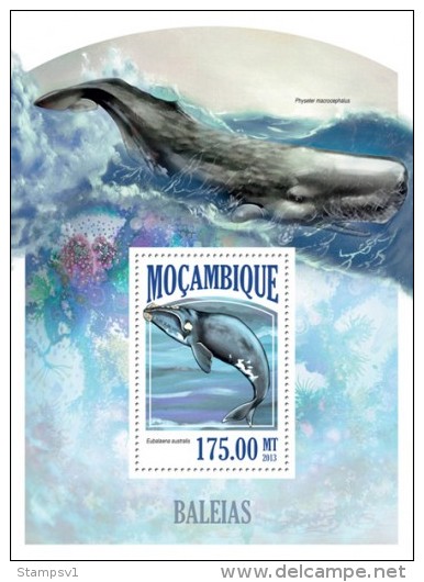 Mozambique. 2013 Whales. (426b) - Ballenas