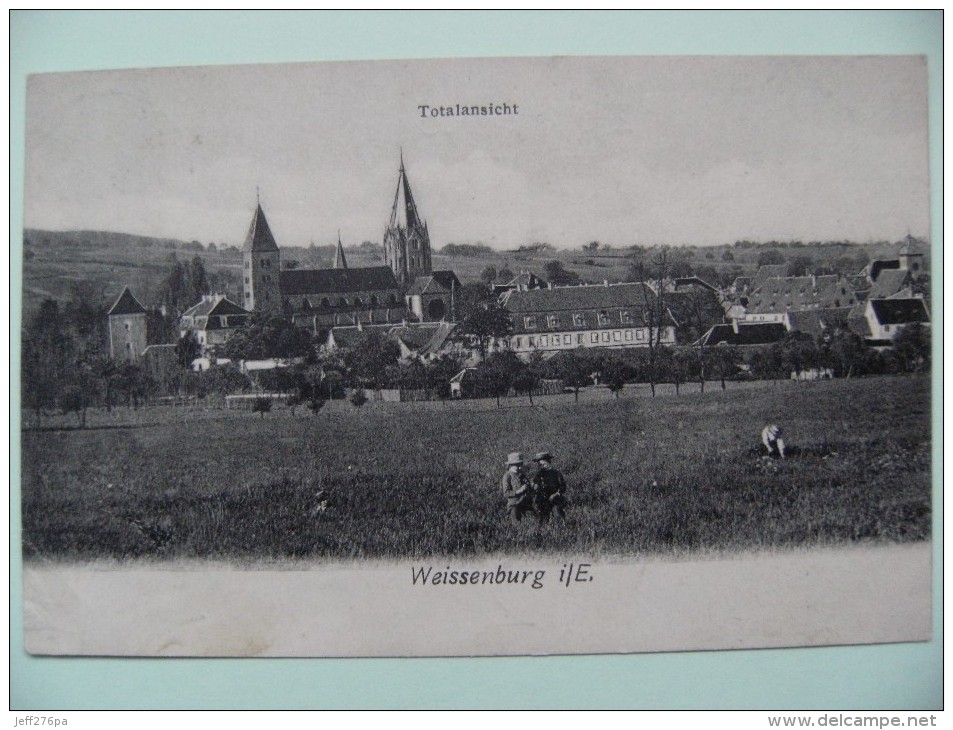 CPA Weissenburg - Totalansicht - Vue Générale Et Animation  à Voir ! - Weissenburg