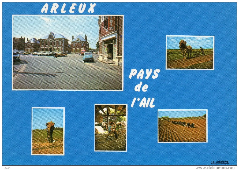 Arleux. Pays De L'Ail. Multivues. Animée. - Arleux